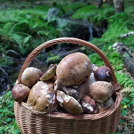 アパート Lupus - Z Prywatna Sauna