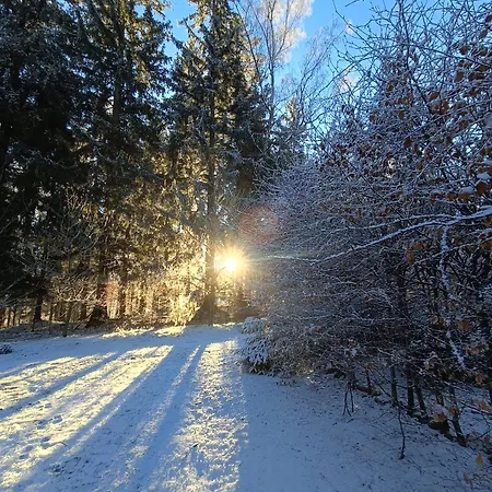 Lupus - Z Prywatna Sauna * シクラルスカ・ポレンバ